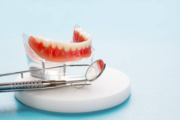 Best Dental Exams and Cleanings  in Bellwood, IL