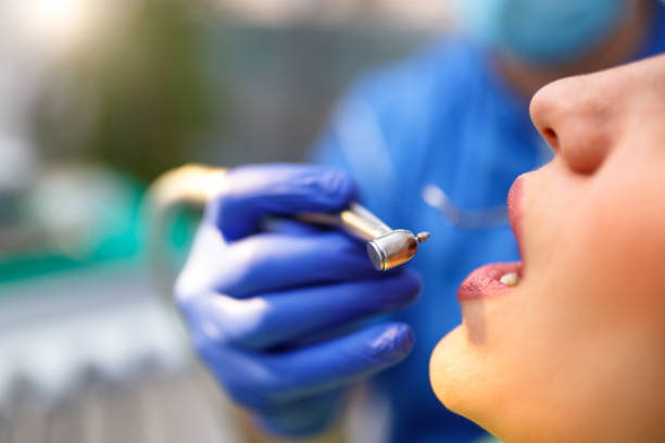 Best Preventive Dentistry  in Bellwood, IL